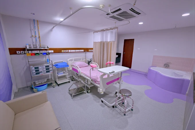 LDRP Birthing Suite - GravidHome Maternity & Pediatric Facility Room